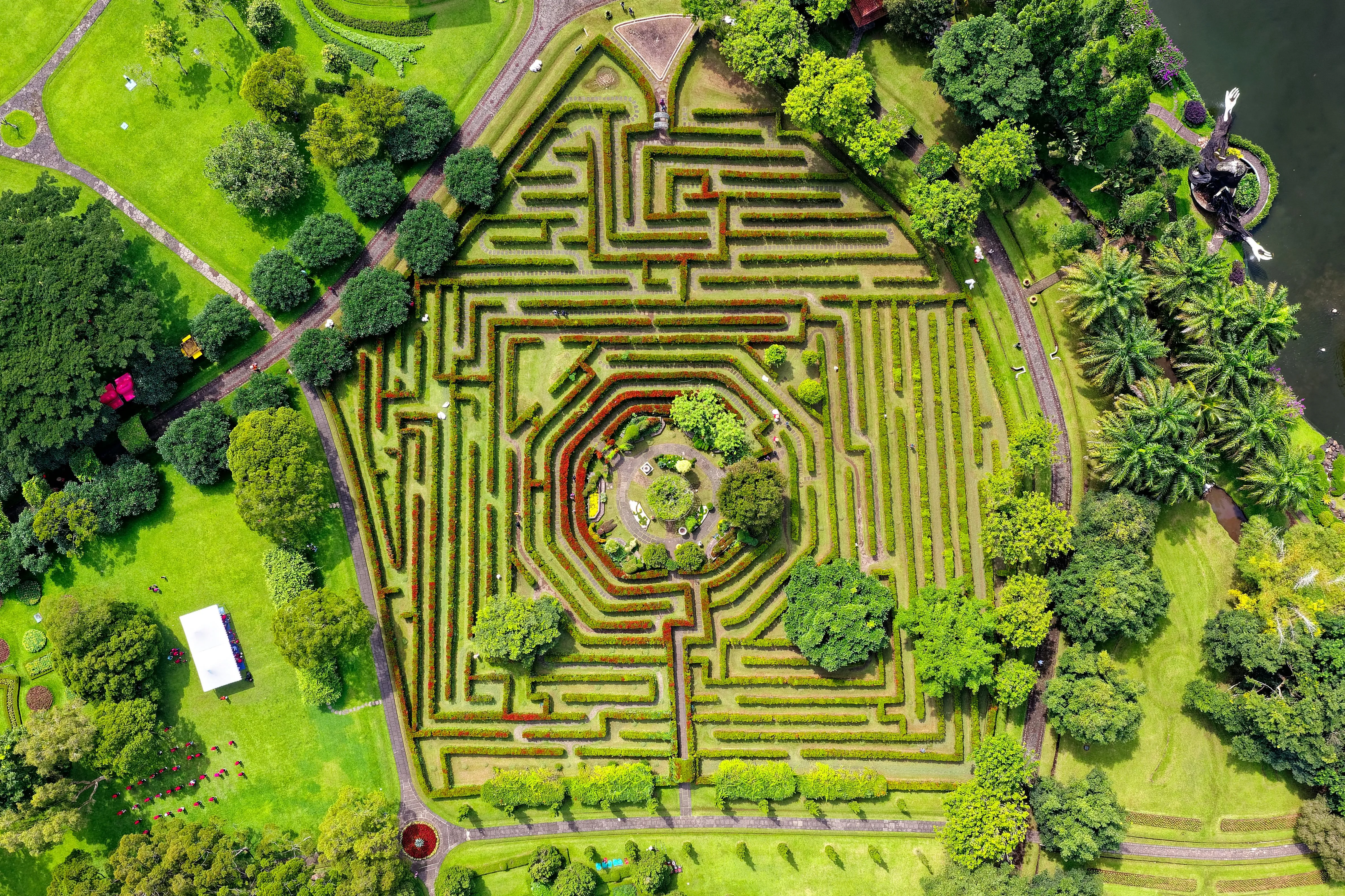 Image représentant des buissons